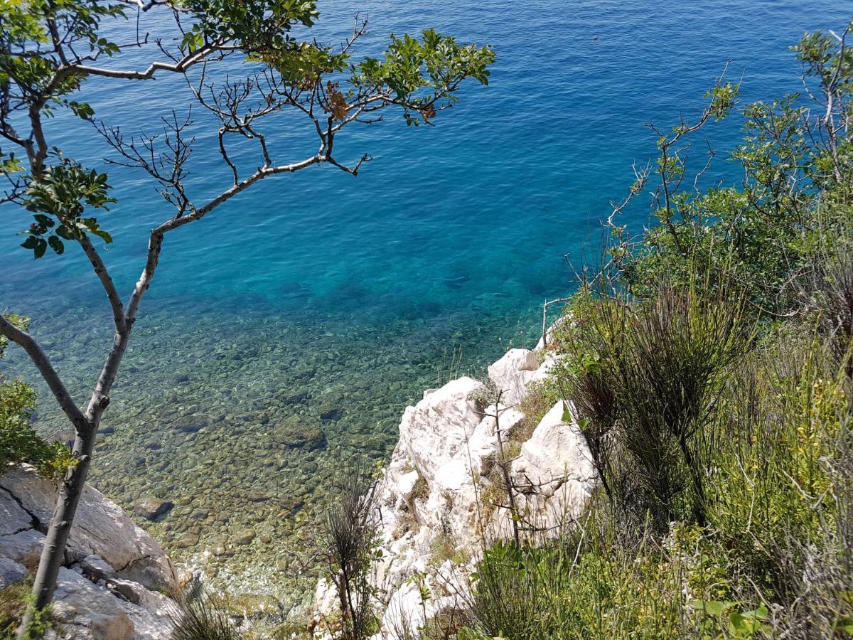 Villa Sundecker Crikvenica Exterior photo